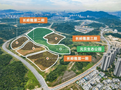 可征询哪些优惠勾当及保障政策？A：✅可